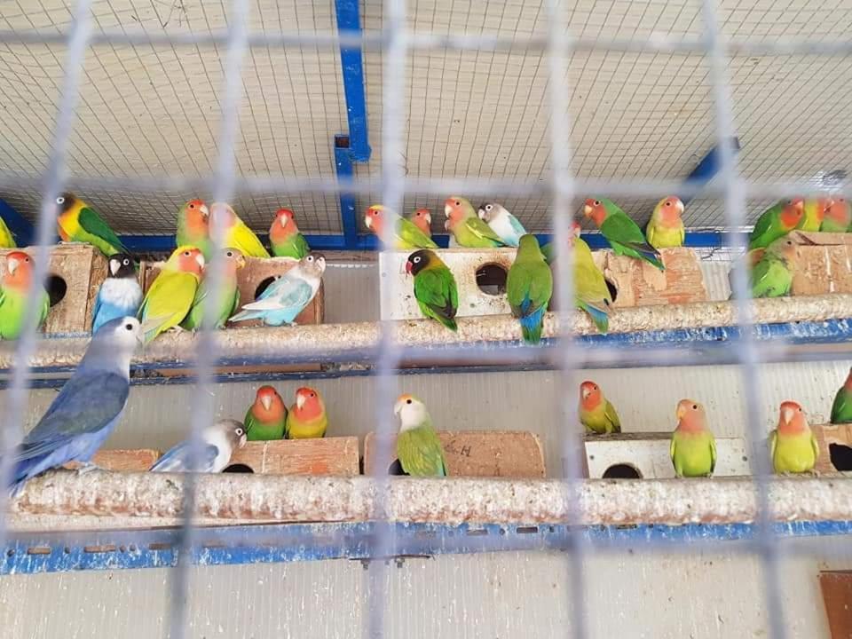 הוילה San Nicolás Casa El Pinillo מראה חיצוני תמונה